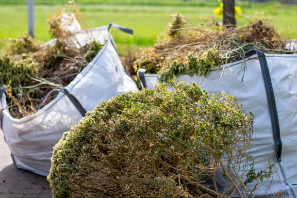 Best Yard Waste Removal  in Wendell, NC